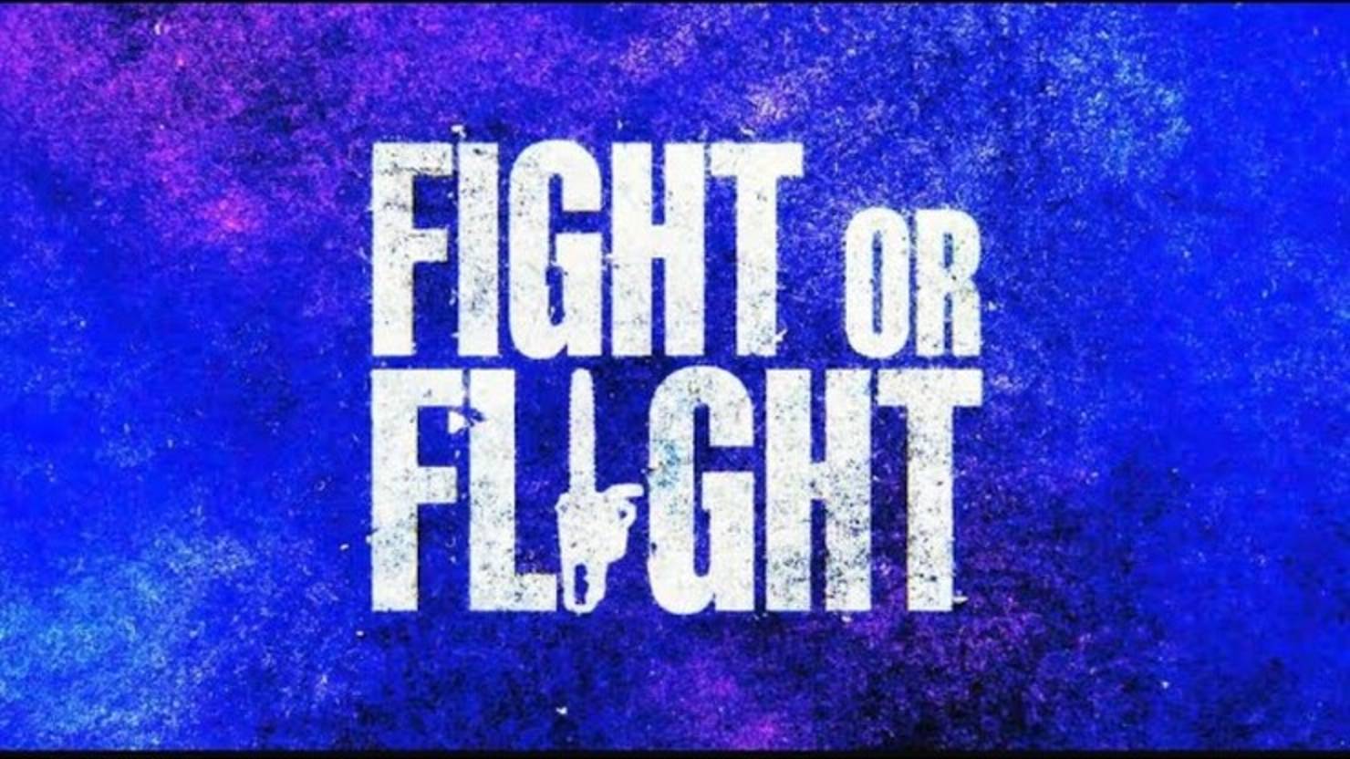 Рейс навылет (2024) / Fight or Flight