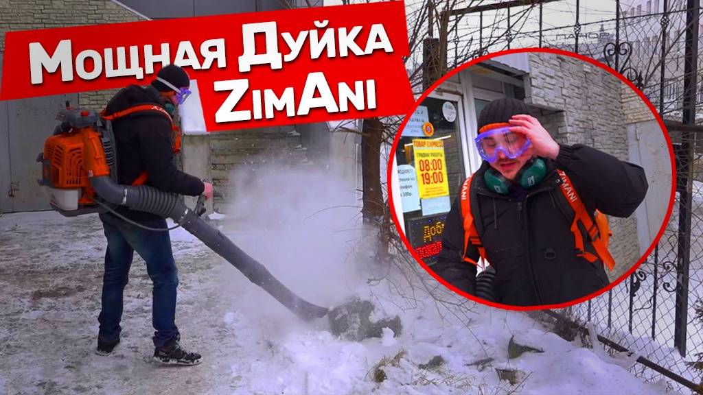 Замена Stihl и Husqvarna или нет? Воздуходувка ZimAni