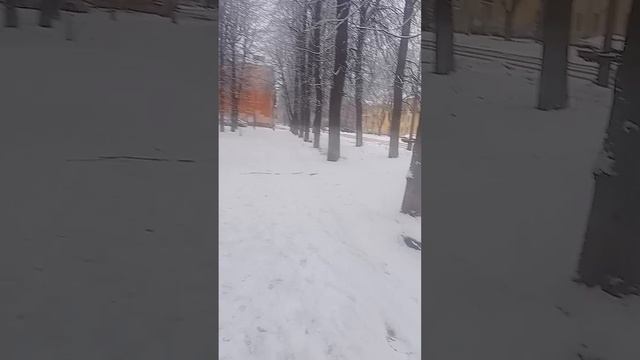 Ярославль в снегу.