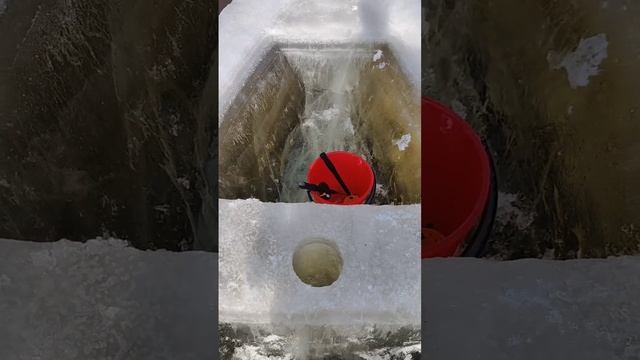 Эти парни вырезали лодку ... из льда