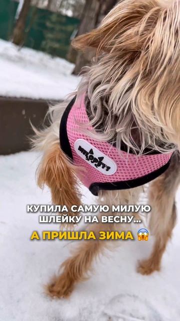 НО МЫ НЕ РАССТРАИВАЕМСЯ 😅