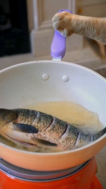 Кот готовит себе рыбу.
