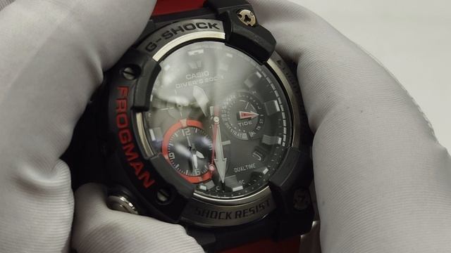 Casio frogman