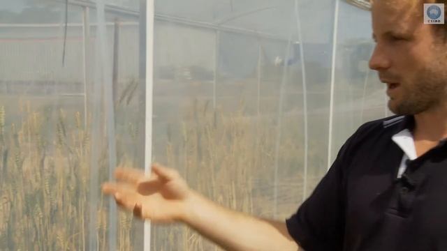 Time tunnel tests climate change crops