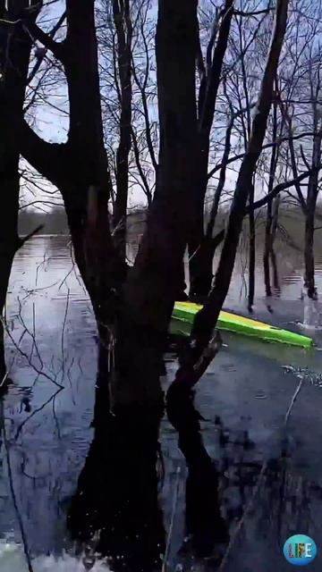 Водный спорт