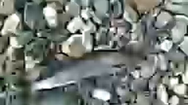Р.харбей хариус.3gp