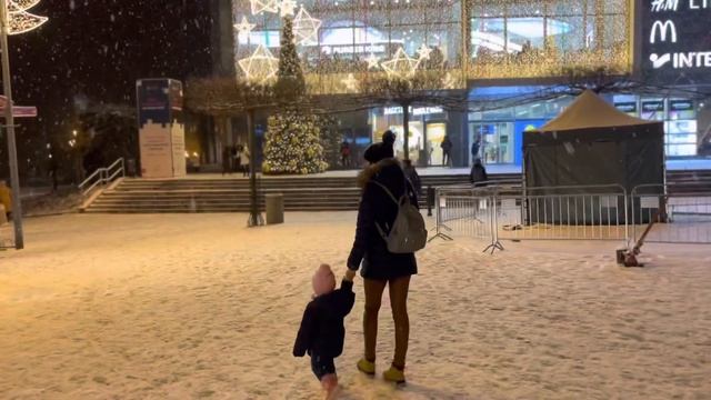 Мама и Лили гуляют  под снегопадом ❄️