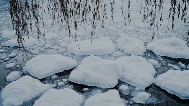 Не слышны ни шуршание ни шепот слова А Фоминых
