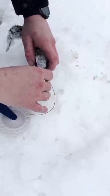 1000010017.mp4
