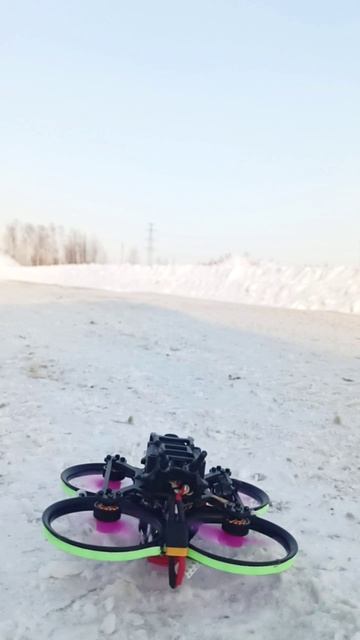 Pavo 20