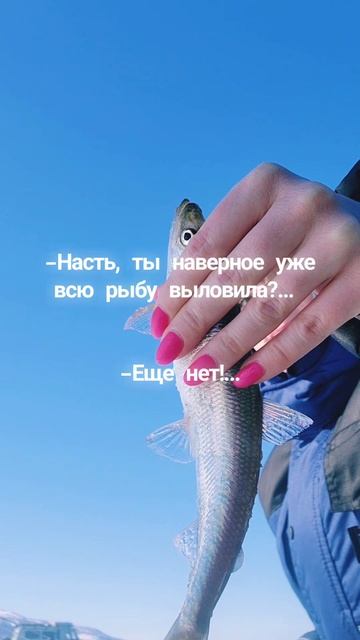 Рыбалка в удовольствие!🐟💙🎣 #nastikae #рыбалка #зима #корюшка #магадан