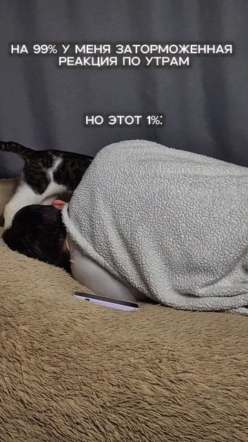 Жиза 100%
#прикол #юмор