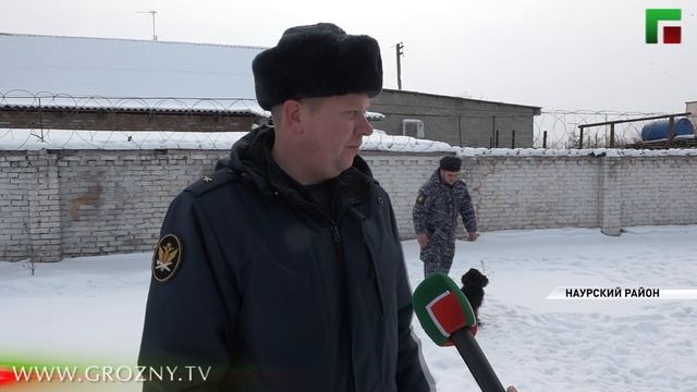 Кинологи: лучшие специалисты по поиску взрывных устройств и боеприпасов