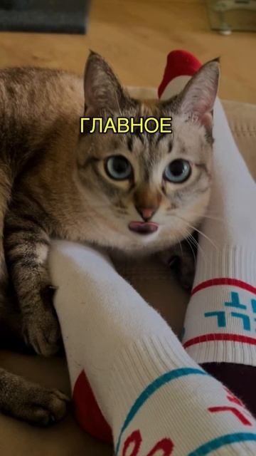 Смешавки.
