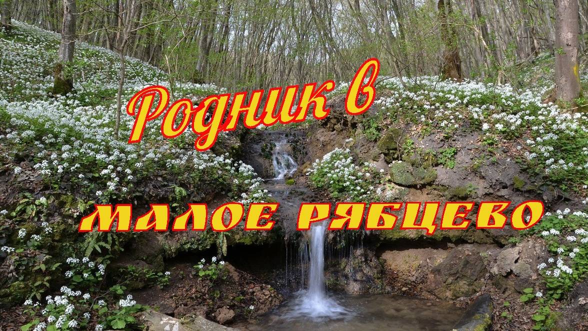 Малое Рябцево
