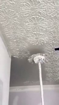 1000019618.mp4