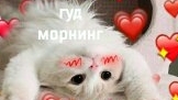 пранки