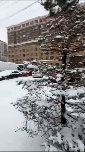 З