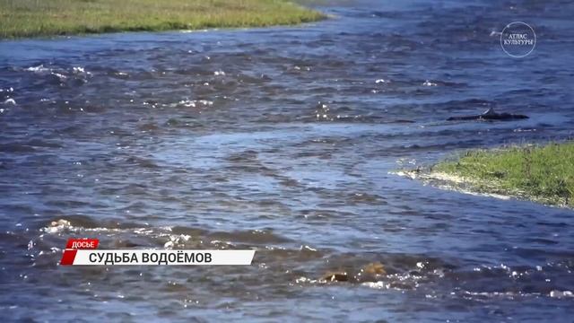 В водах Байкала и Селенги стало больше микропластика