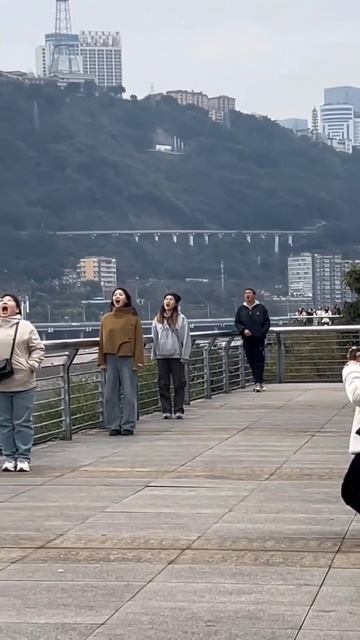 В сумасшедший дом завезли социальные сети