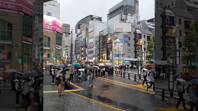 Дождливое утро в Токио Rainy morning in Tokyo