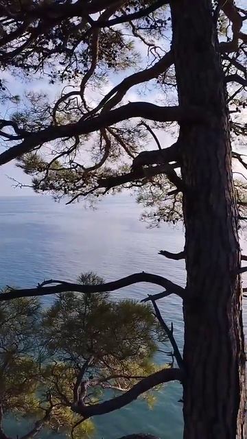 Голубая бездна. Геленджик