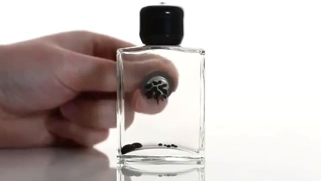 🖤 Магнитная жидкость (феррофлюид) | Это вещество не поддается законам физики! #магниты #фокус