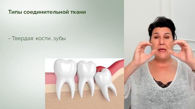 Насколько важна соединительная ткань
