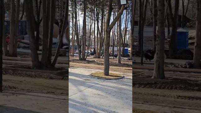 Мэр Кисловодска Моисеев на озере. 15.12.2023 г.