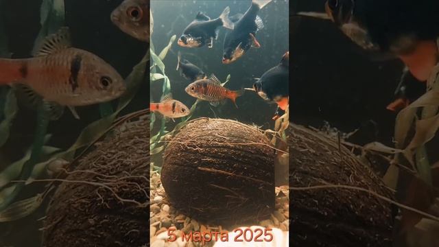 5 марта 2025 г.