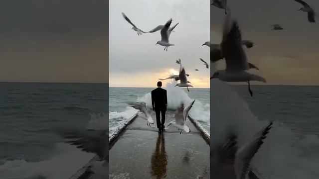 ЛЮДИ РОЖДЁННЫЕ С 24 АВГУСТА ПО 8 СЕНТЯБРЯ