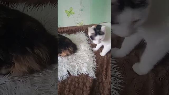 1000065961.mp4