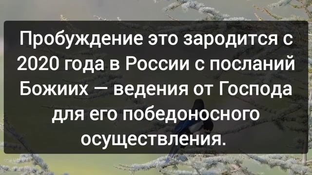 3. ЗА КАКОЕ ПРОБУЖДЕНИЕ МЫ МОЛИМСЯ? Концентрат ключей Пробуждения | С.Приходько| аудиокнига.mp4