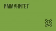 Иммунитет. Видеоурок по биологии 8 класс