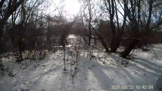 Река Ока. Трех часовая прогулка по берегу реки