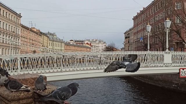 Львиный мост!Петербург!