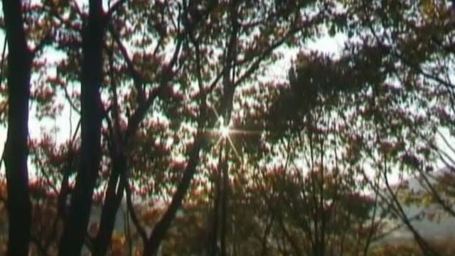 1. Небесных чинов радование