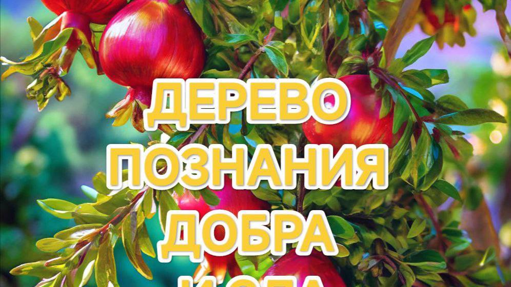 01.03.2025   ВЕЛИКОЕ ЗНАЧЕНИЕ ДЕРЕВА ПОЗНАНИЯ ДОБРА И ЗЛА