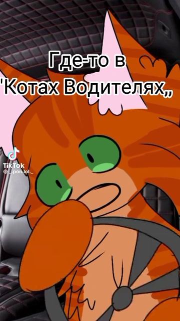 Где-то в мире котов водителей: