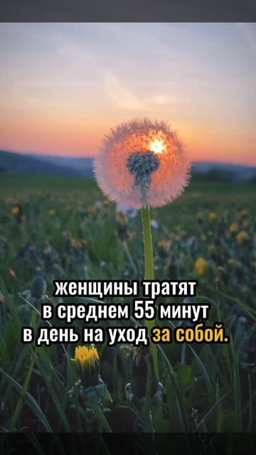 Психологические факты