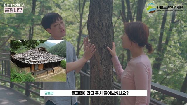 4화 다 같은 도토리나무가 아니다? 너무 신기한 굴참나무 이야기!