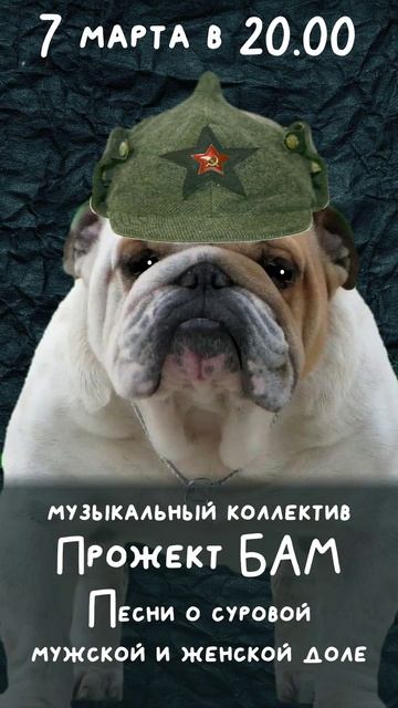 7 марта в 20.00 музыкальный коллектив Прожект БАМ в баре Бульдог! (видеоприглашение)