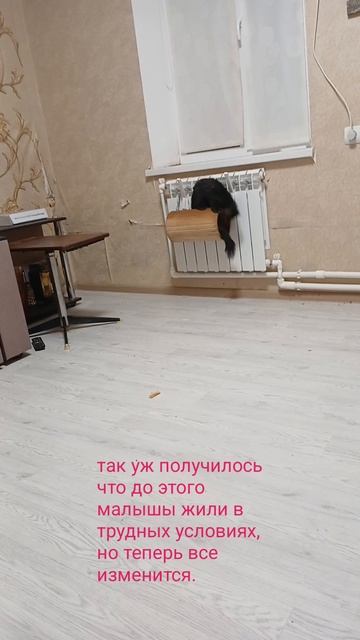 1000264333.mp4