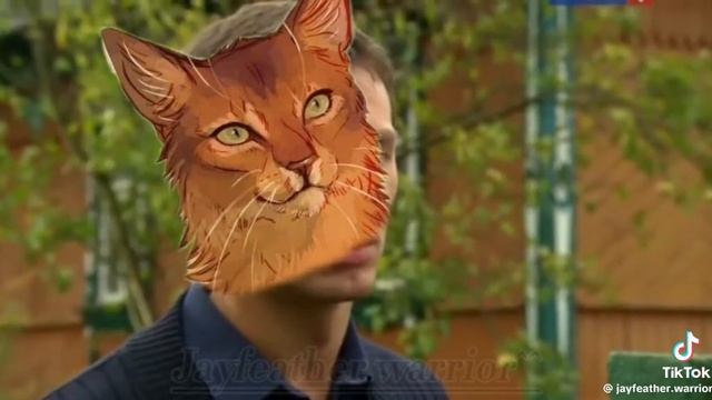 Пов:Любовные отношения в лагере