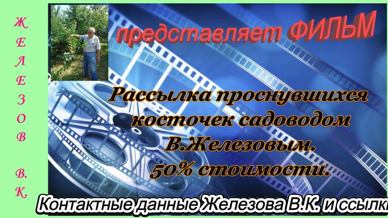 Рассылка проснувшихся косточек садоводом В.Железовым. 50% стоимости.