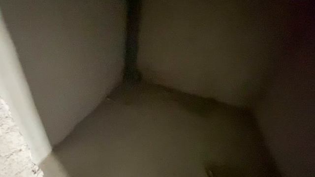 5306867 Сержанта Коротаева, 1