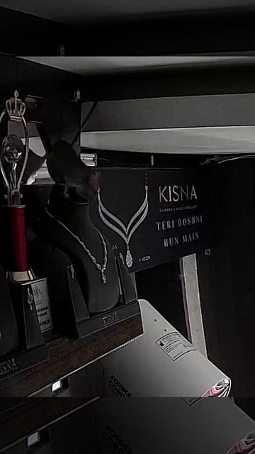 В одном из ювелирных магазинов крыса утащила дорогое колье🐀😂