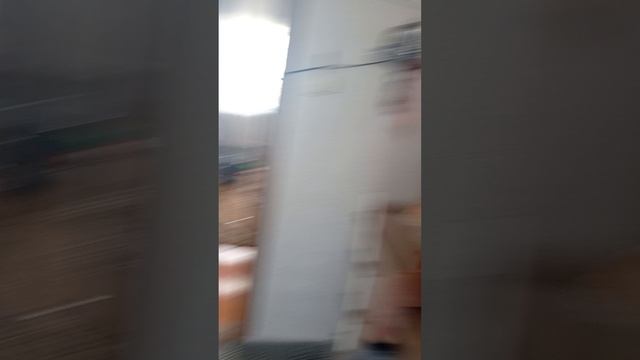 1000020008.mp4