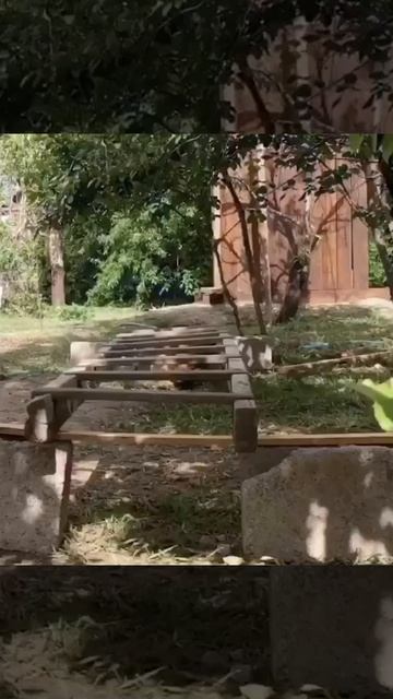 Очень старается Амурчик. В разведку