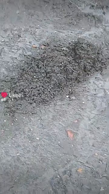 1000013234.mp4